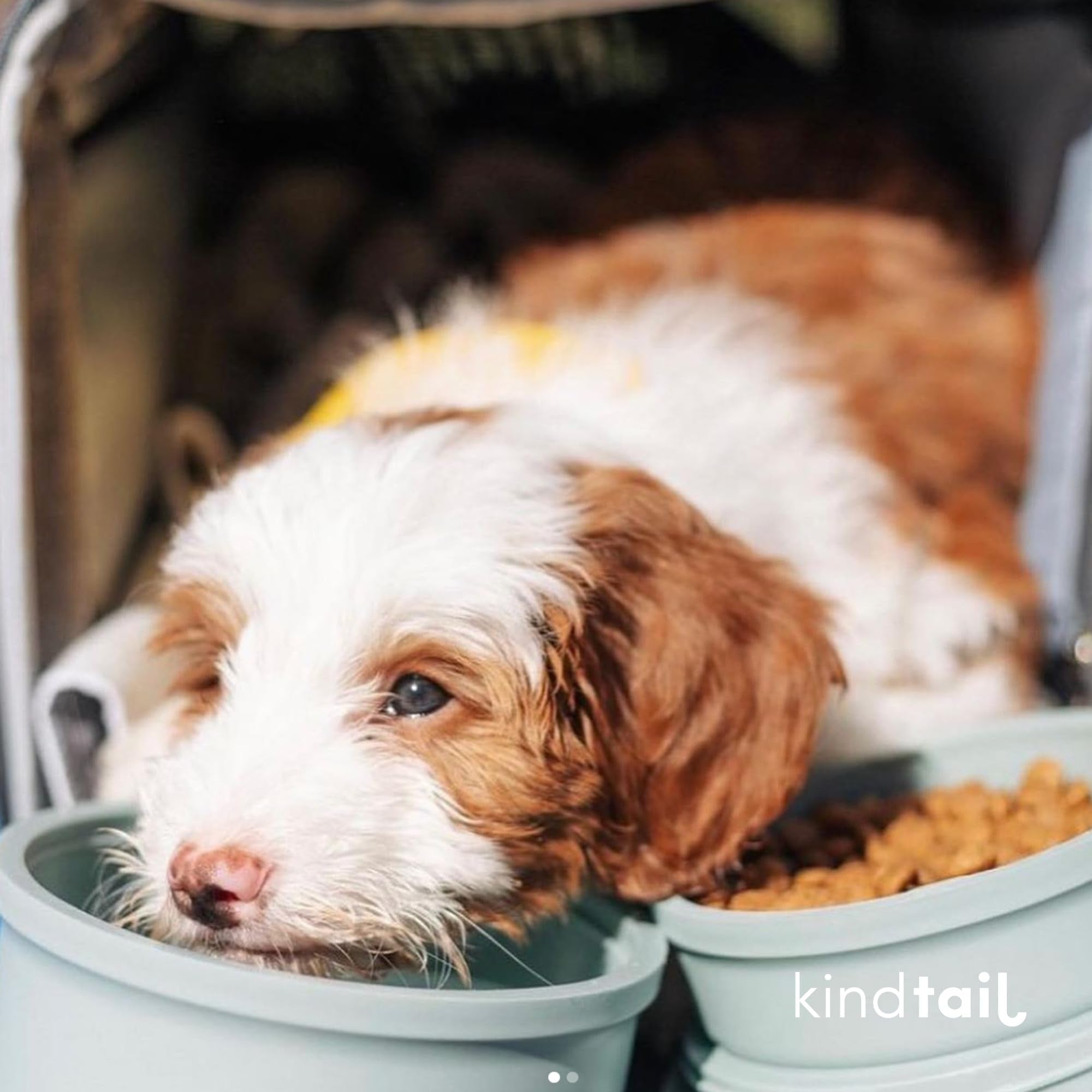 KindTail BPA-free polypropylene construction emphasizes safe, easy cleaning.