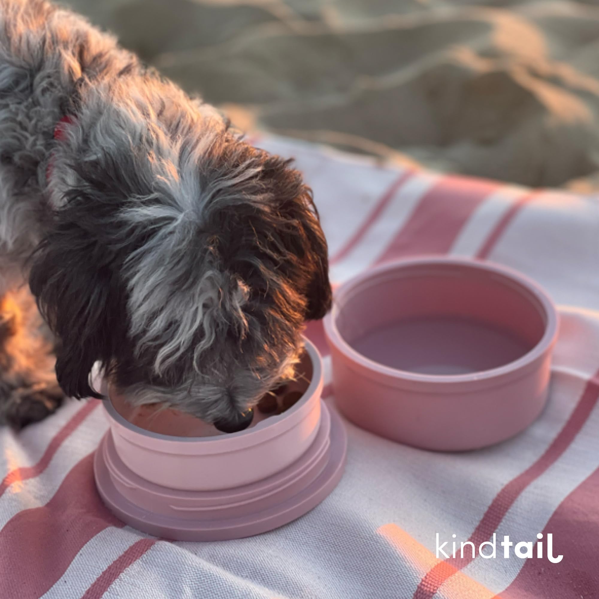 KindTail compact 5.5 by 2.5 by 5.5 inches fits small dogs well.
