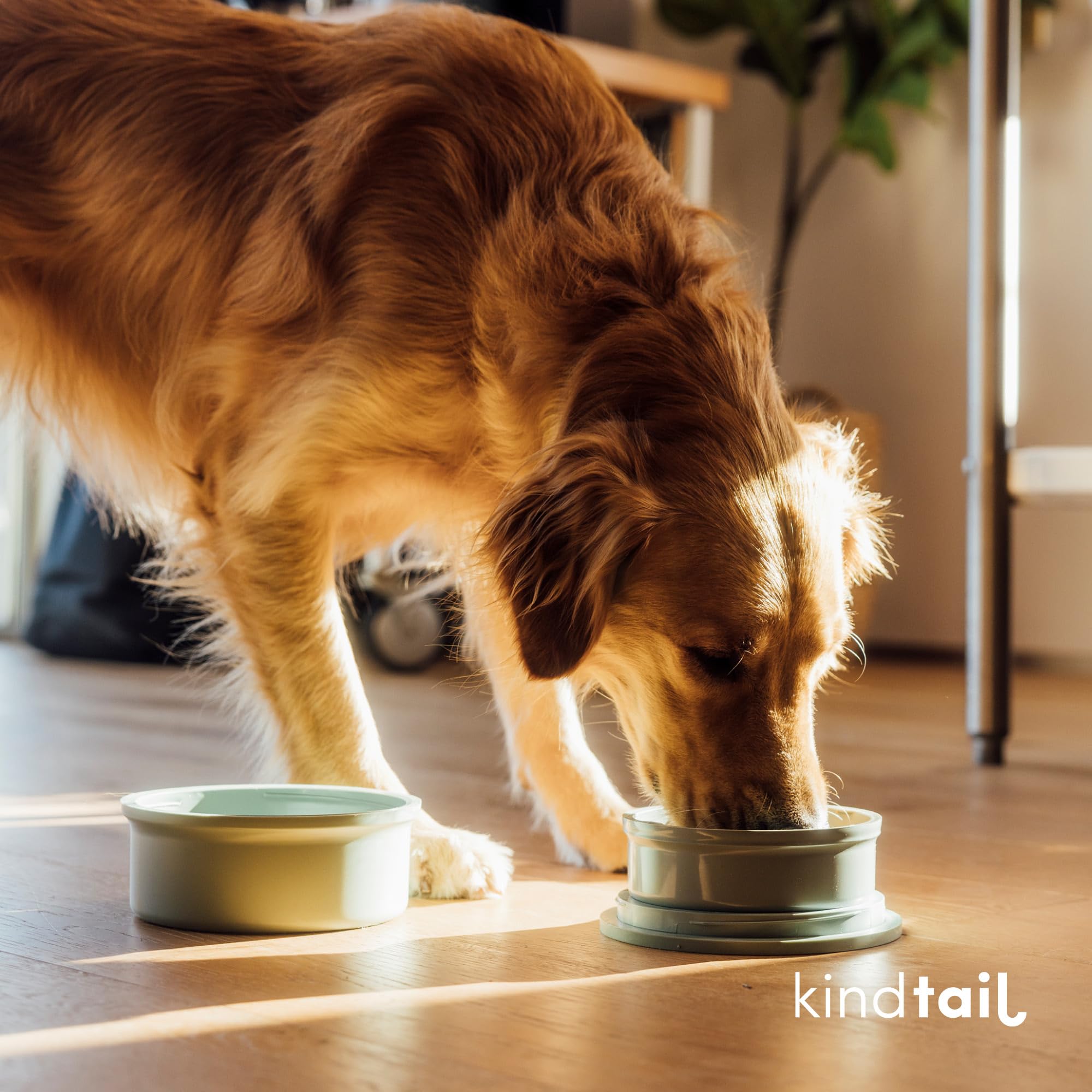 KindTail dishwasher-safe and microwave-safe bowls for easy cleanup.