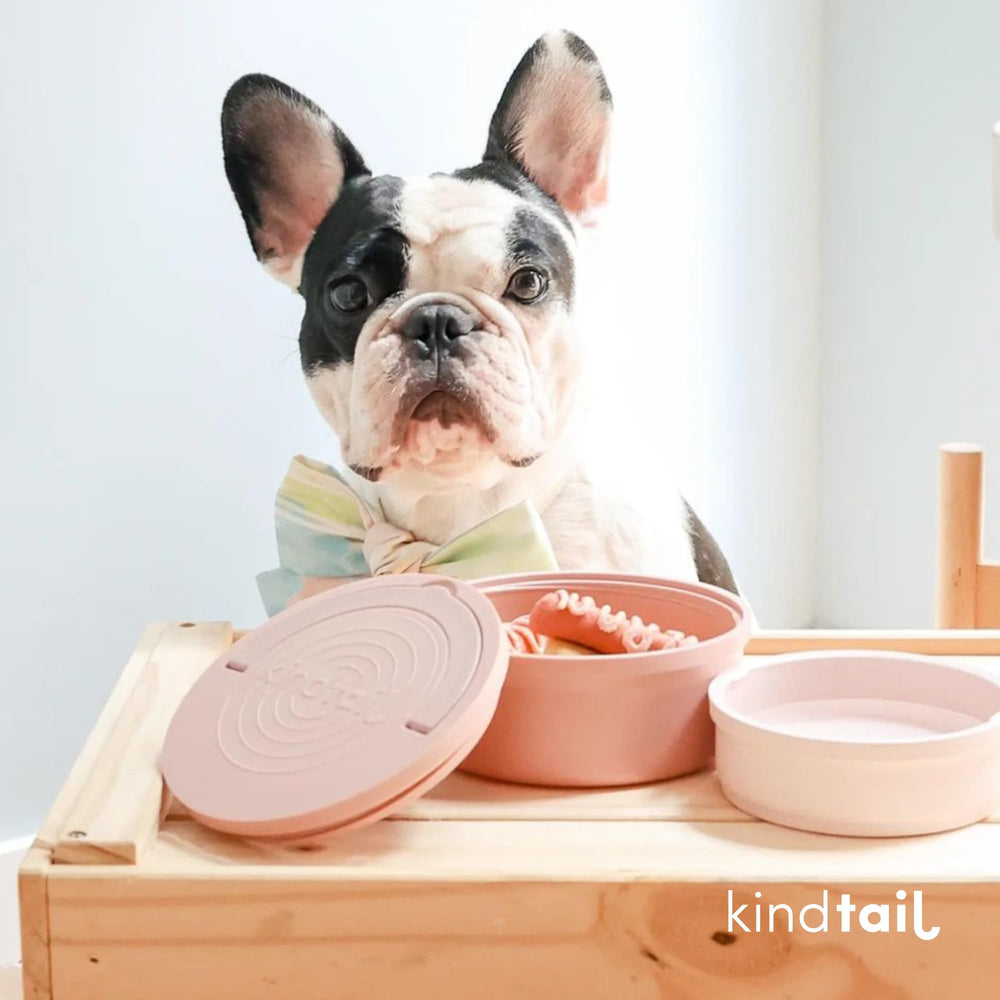 KindTail dog travel bowls microwave-dishwasher-safe promises easy cleanup after adventures.