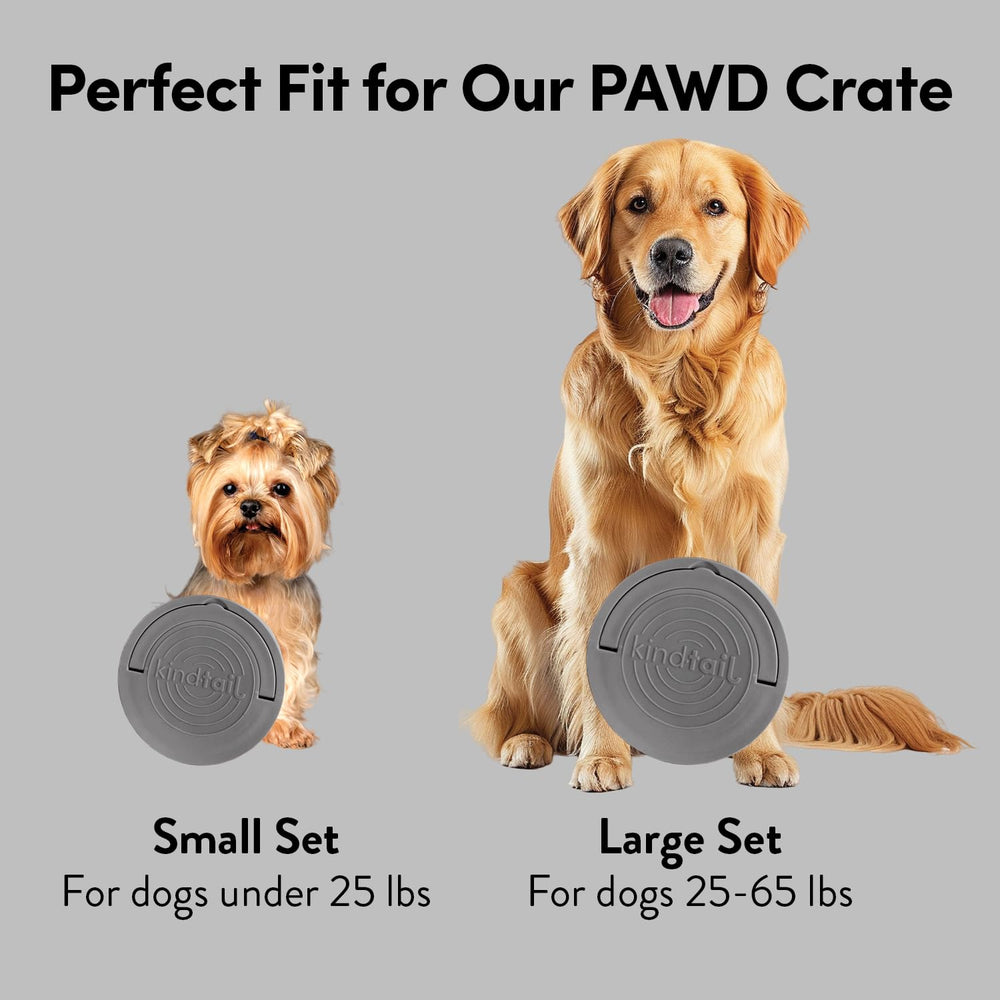 KindTail inner 2.5-cup food bowl ready for wet or dry food.