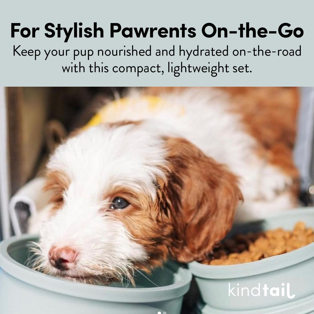 KindTail lid with seal features easy carrying handle.