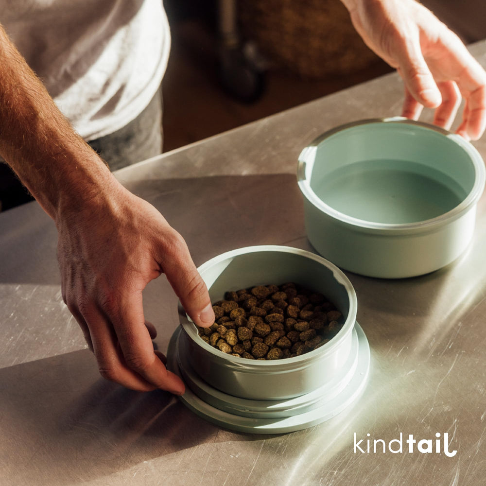 KindTail bowls are microwave and dishwasher safe for simple care.