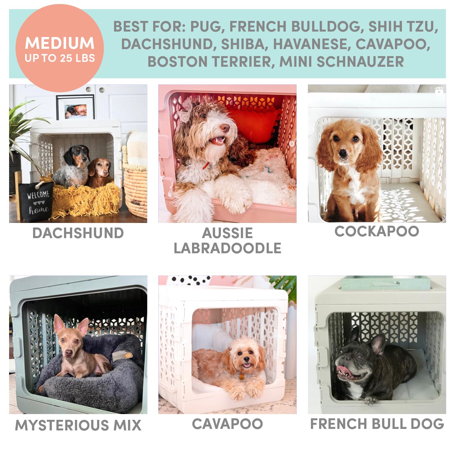 KindTail PAWD crate in modern home blending with décor