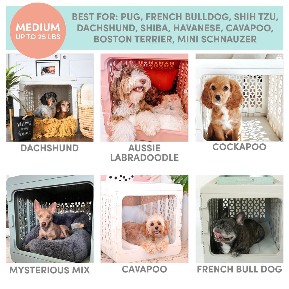 KindTail PAWD crate in modern home blending with décor