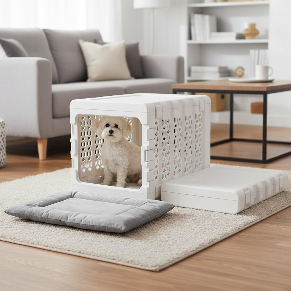 KindTail PAWD crate folded flat for easy storage and travel