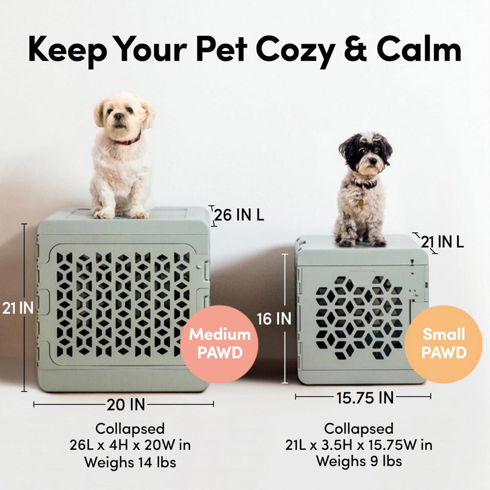 KindTail PAWD crate interior view showing soft pad and space