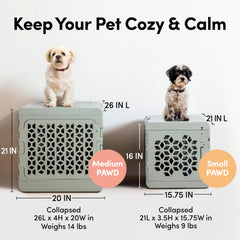KindTail PAWD crate interior view showing soft pad and space