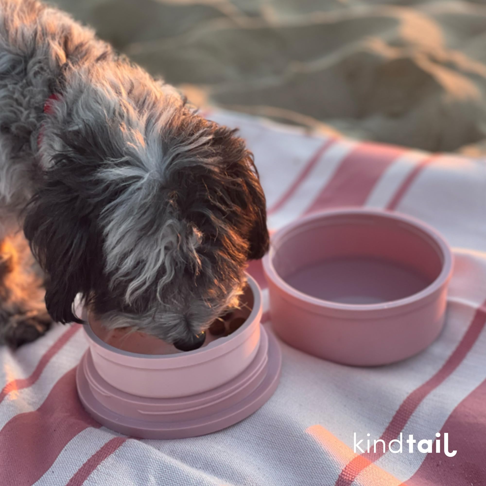 KindTail portable pet dining system fits small dogs on the go