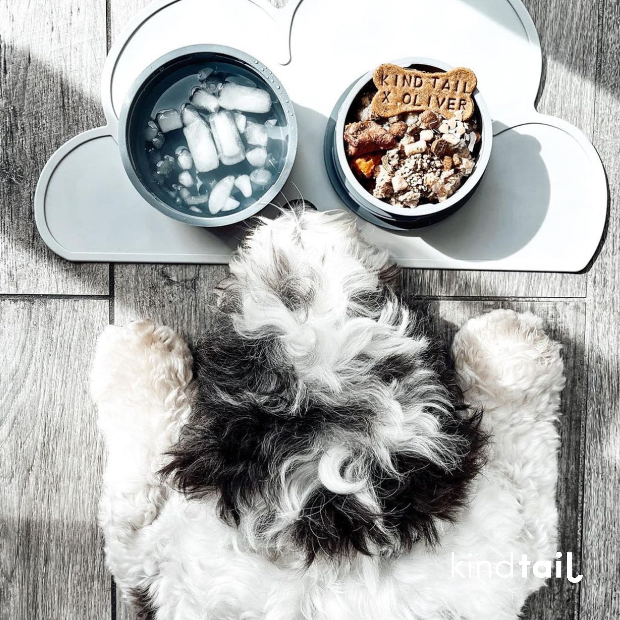 KindTail dishwasher-safe-label confirms easy cleanup after adventures