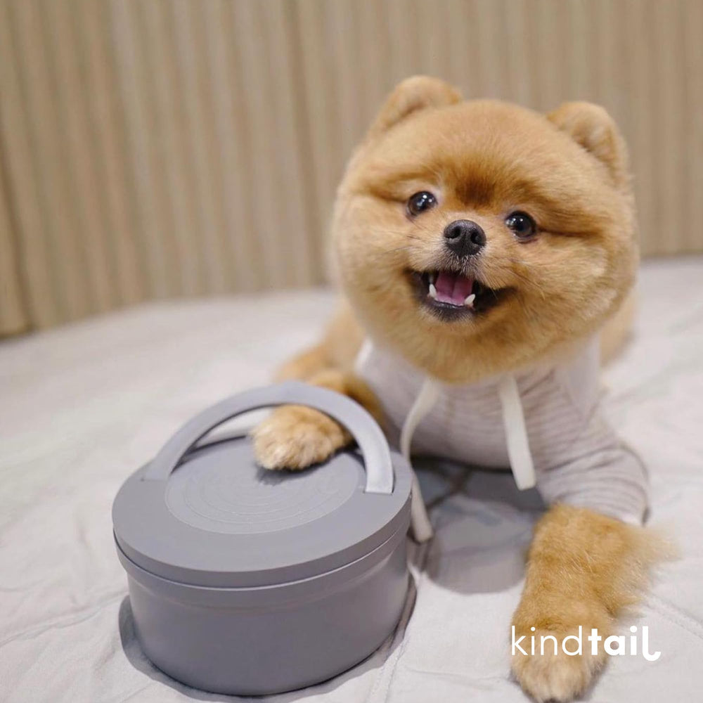 KindTail grey-color-packaging complements everyday travel outfits and outdoor adventures