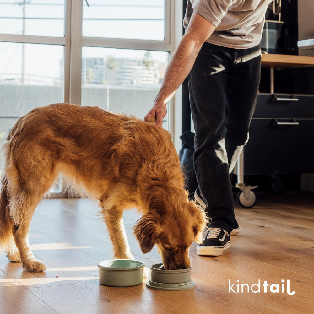 KindTail stackable travel bowls demonstrate portable design for pets 25-65 lbs.