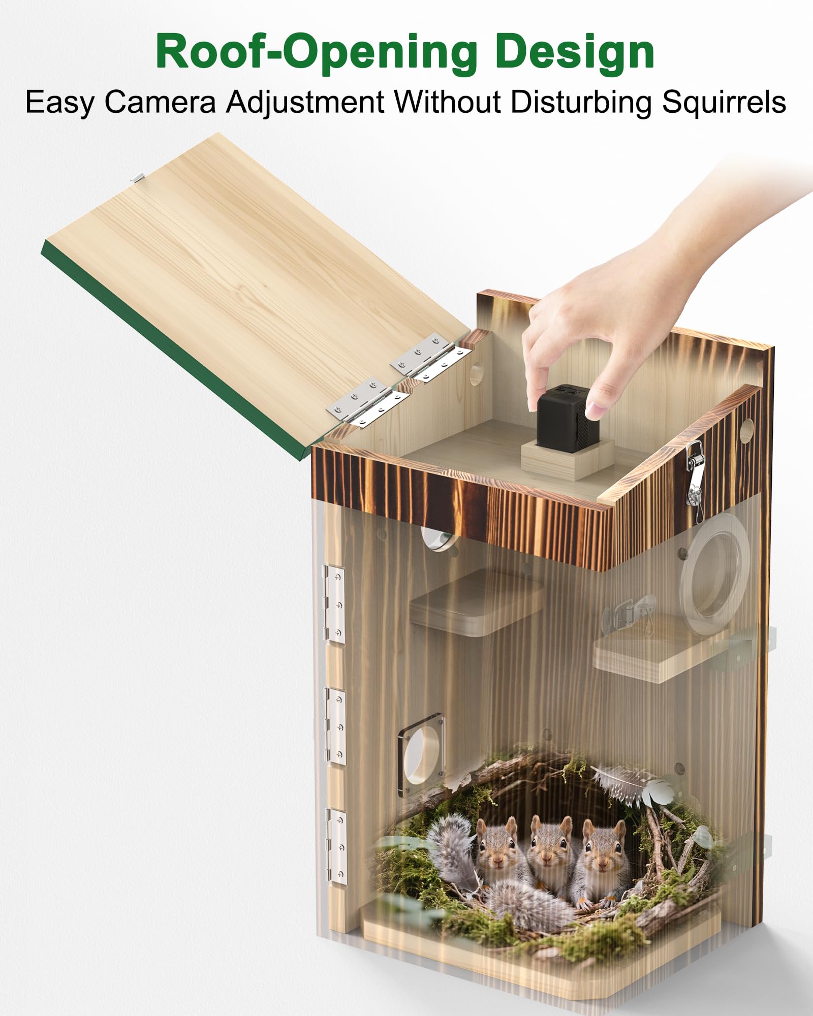 KinetCam Squirrel Box night vision view enabling dusk and night footage.