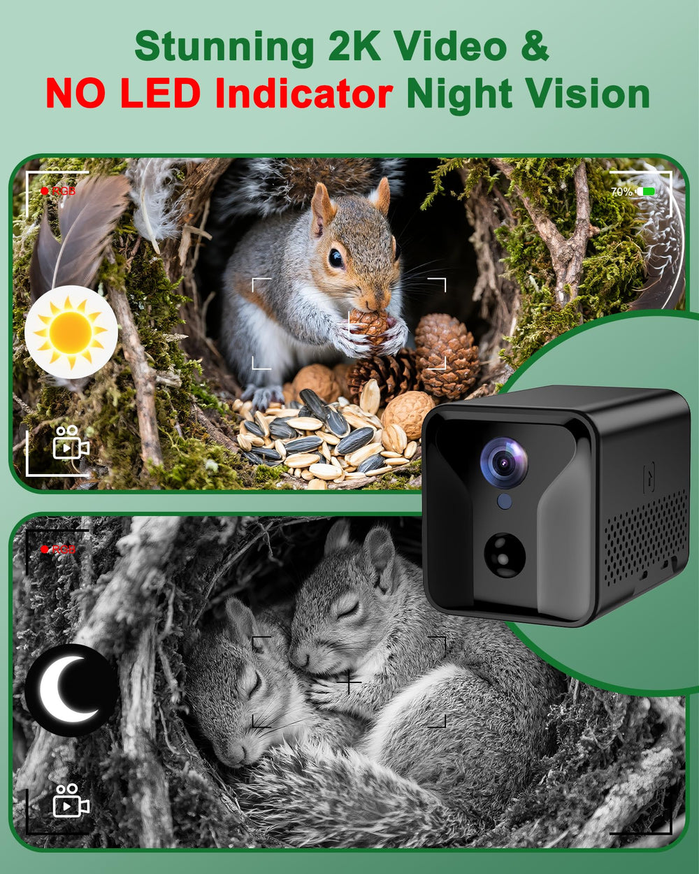 KinetCam Squirrel Box solar panel captures sun powered monitoring for extended sessions.