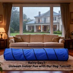 KINETOVOLTA 10-foot tunnel entrance is wide for most dog breeds.