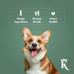 King Lou Pets duck hearts in bowl ready to serve for dogs and cats
