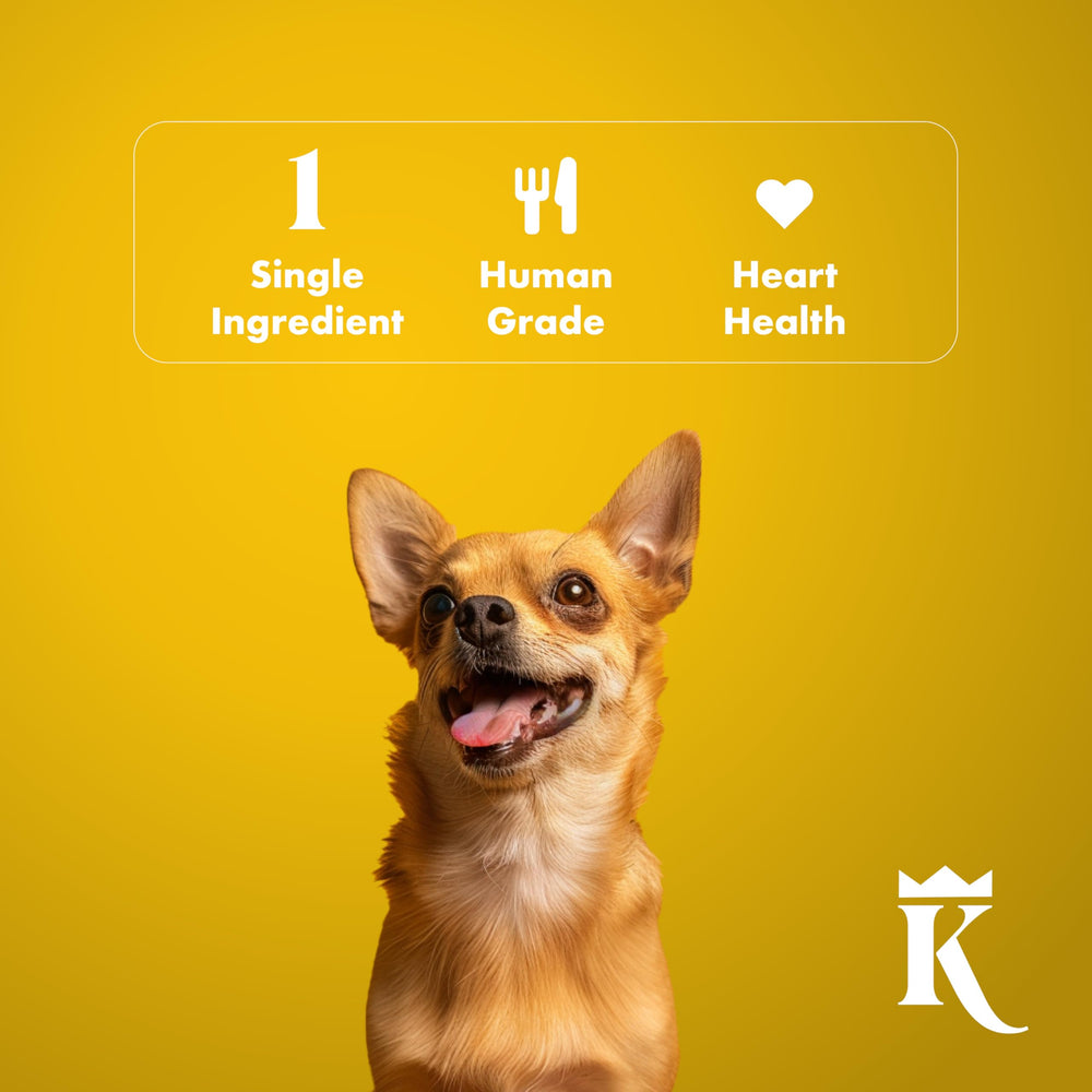King Lou Pets turkey jerky free-range image highlights simple ingredients
