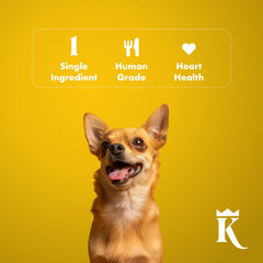 King Lou Pets turkey jerky free-range image highlights simple ingredients