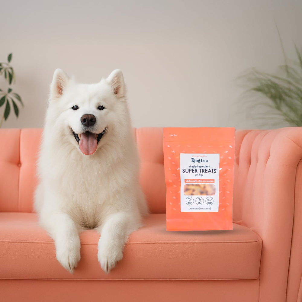 Dog enjoying salmon bites during treat-time moment