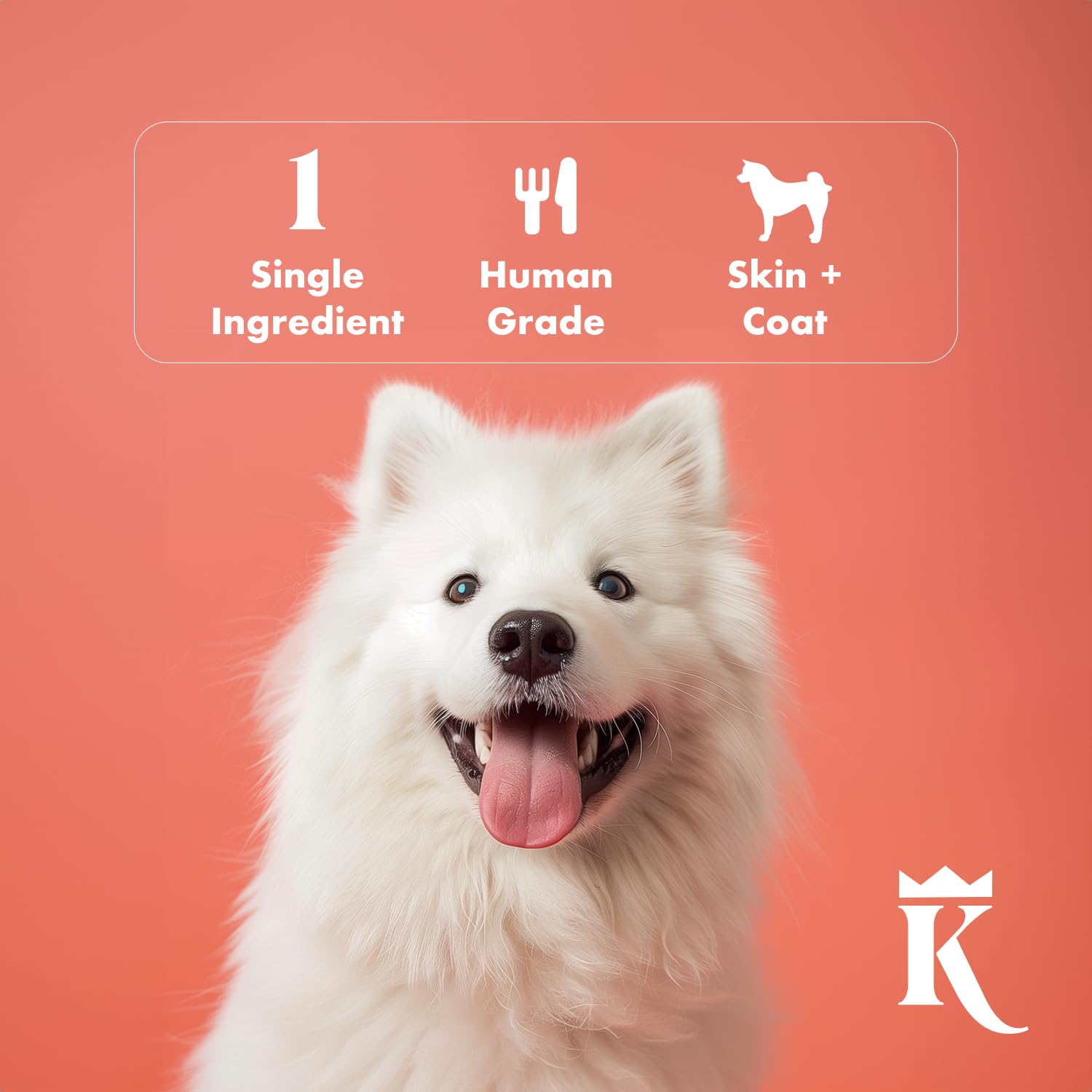 Freeze-dried texture close-up for crunchy training rewards