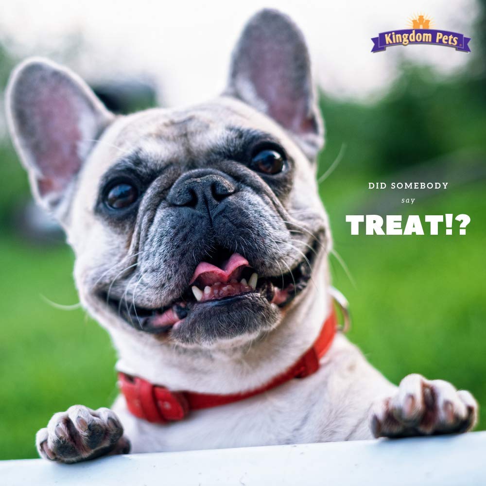 Kingdom Pets Duck Jerky training snack action during obedience work