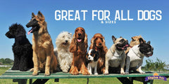Kingdom Pets training treats duck jerky image shows versatile rewards for all breeds.