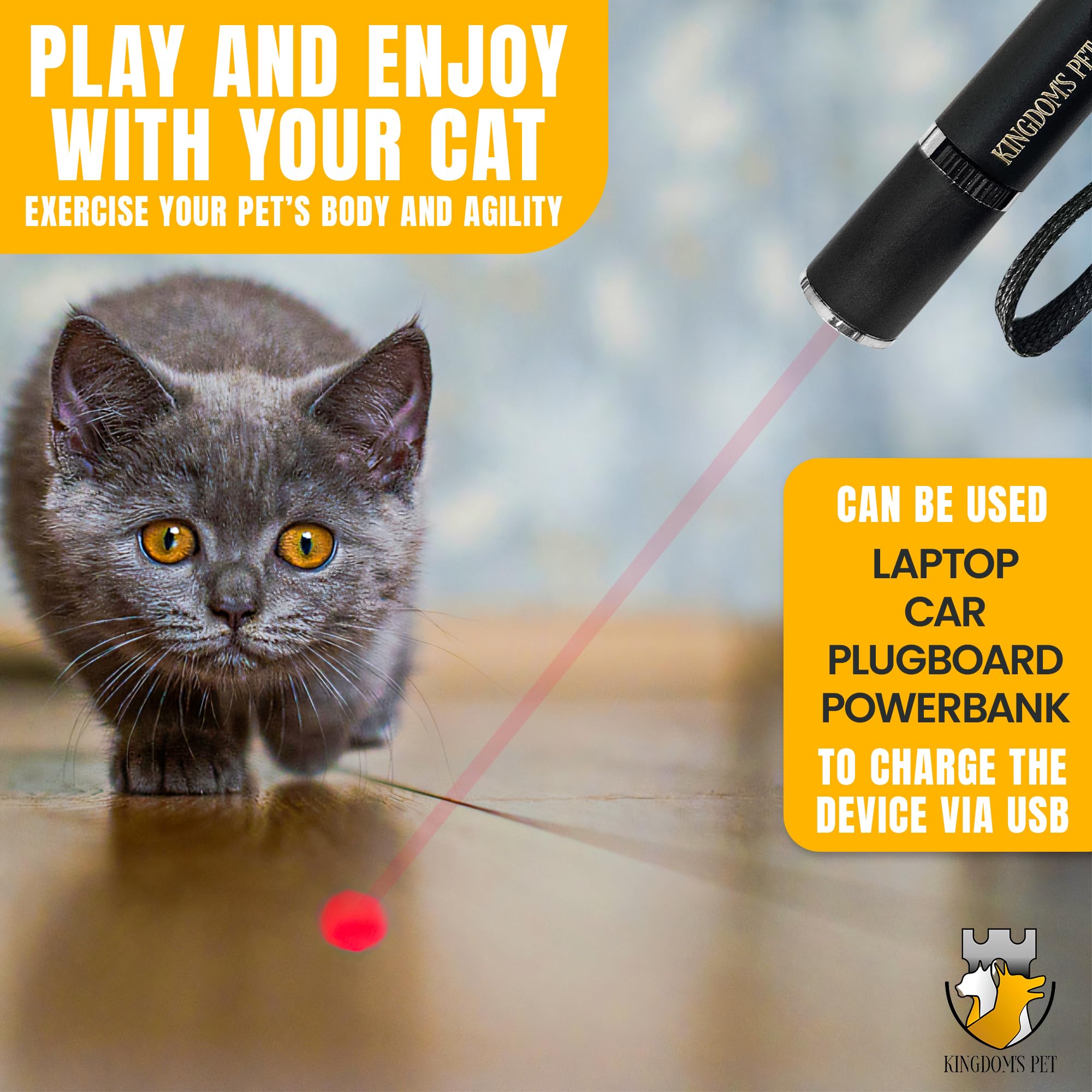 KINGDOM'S PET 3-in-1 all-in-one-entertainment-set highlights compact design for indoor cats.