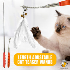 KINGDOM'S PET 3-in-1 feather-attachments mimic real prey, stimulating hunting instincts.