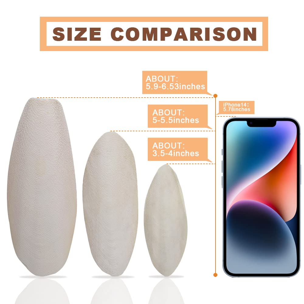 Kingmo case-packaging protects bones and keeps storage tidy.
