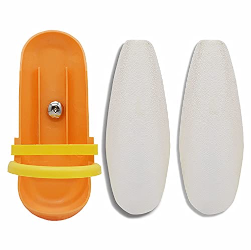 Kingmo large cuttlebone with holder in cage supports beak health and calcium intake.
