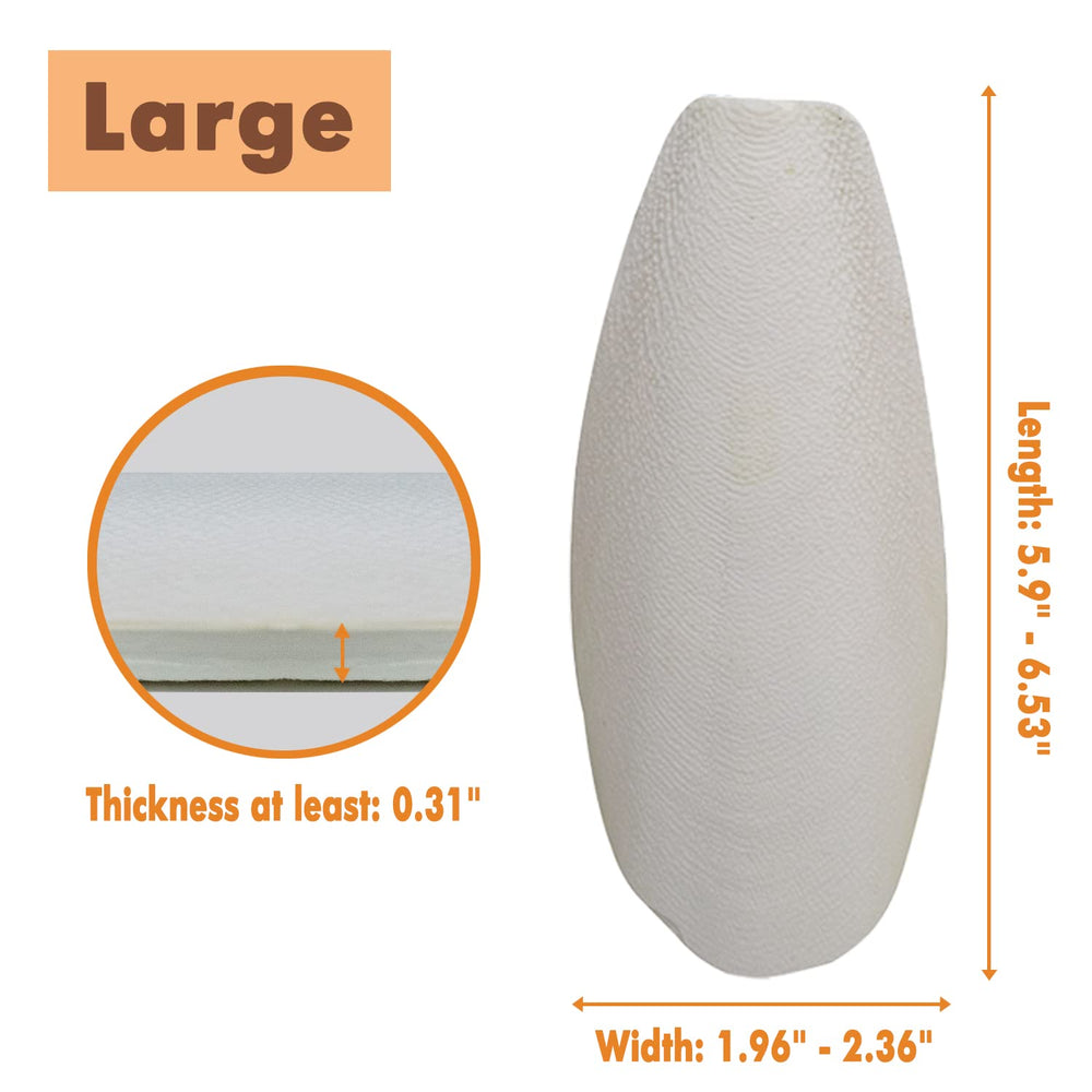 Kingmo natural cuttlebone provides essential minerals for parrots.