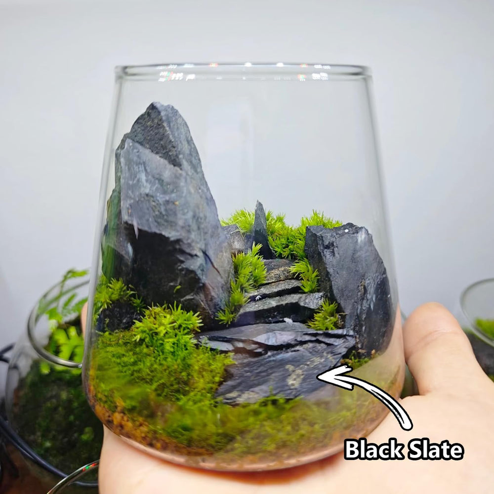 KINGRUI slate rocks enhance planter drainage and airflow for healthy mini plants.
