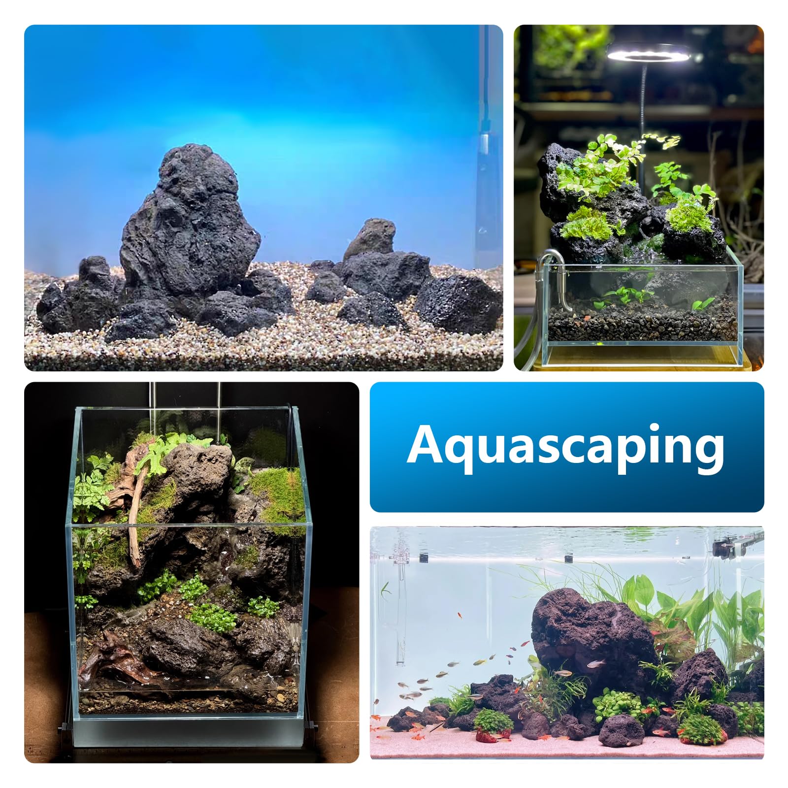 KINGRUI lava-rock aquascaping caves create natural hideaways and scenery