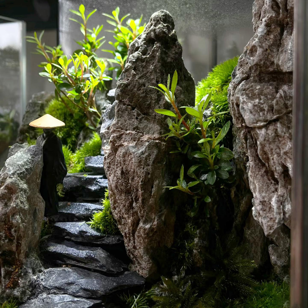 KINGRUI natural slate rocks for terrarium projects offer durable, pH-neutral décor.