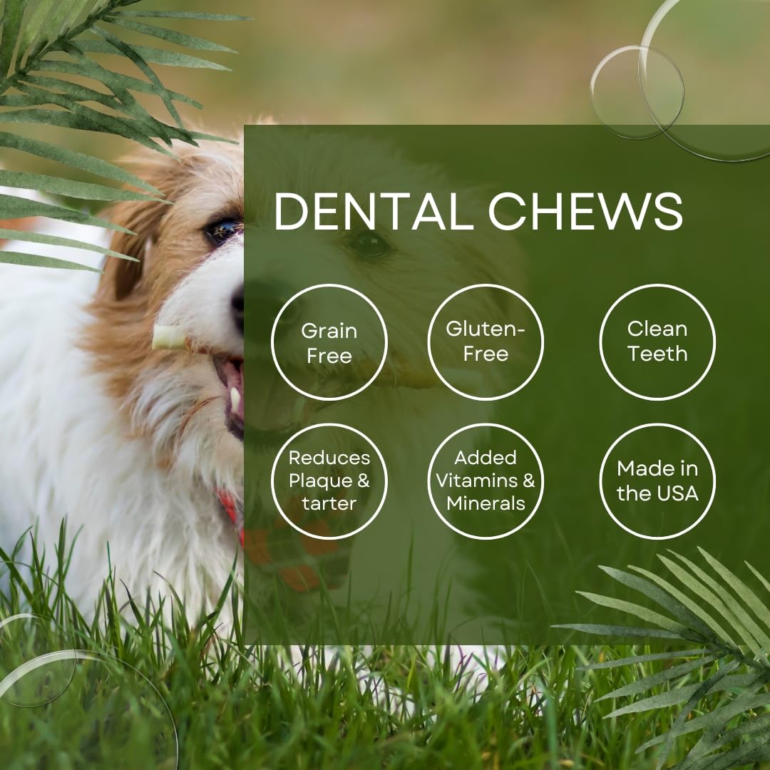 Kings Selection dental chews close-up showing texture and palatability for daily dental care