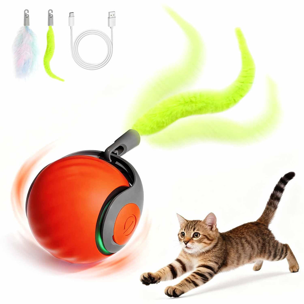 Kinizuxi interactive cat ball orange boosts indoor play and activity