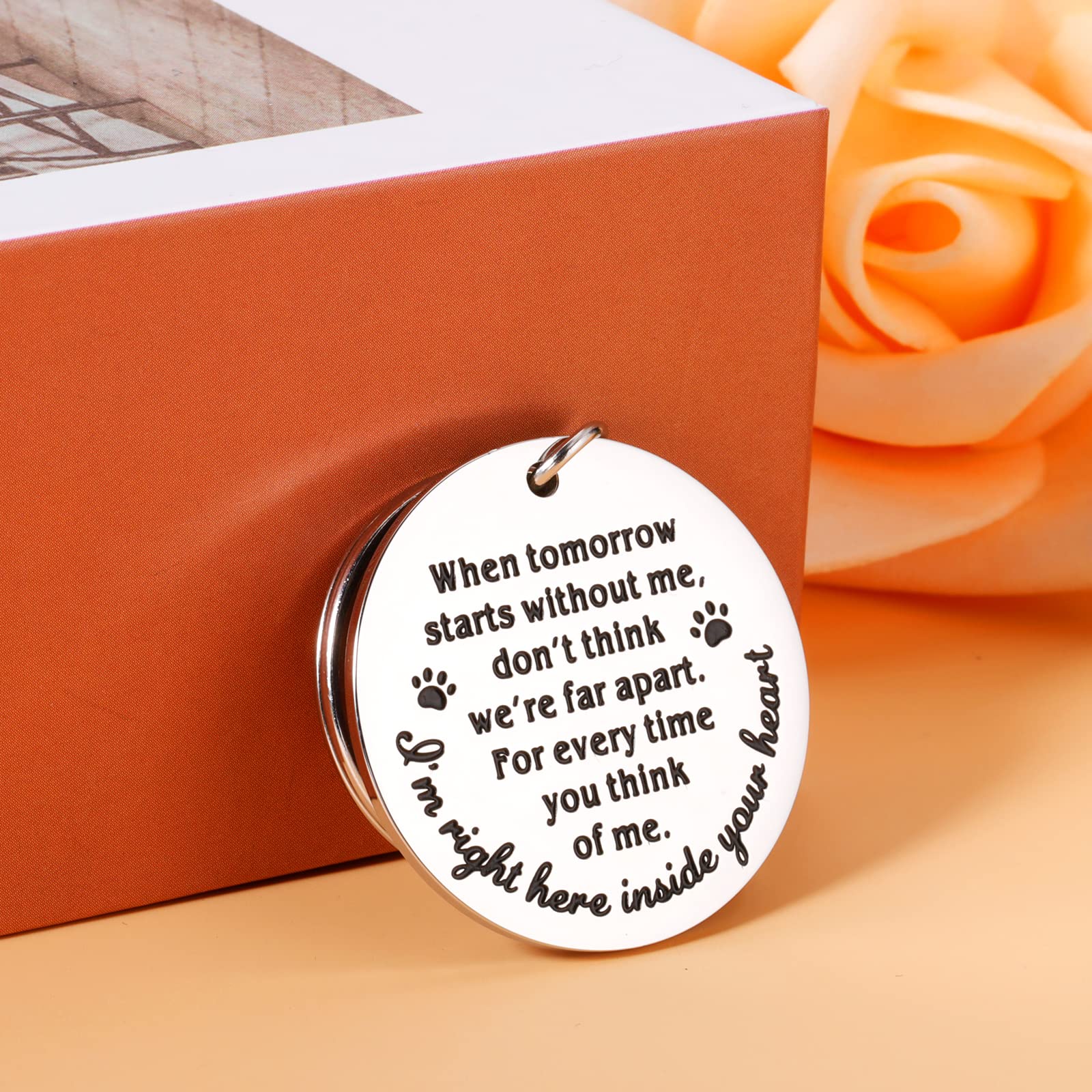 KINMES Rainbow Bridge paw print image signifies a lasting bond for pet lovers.