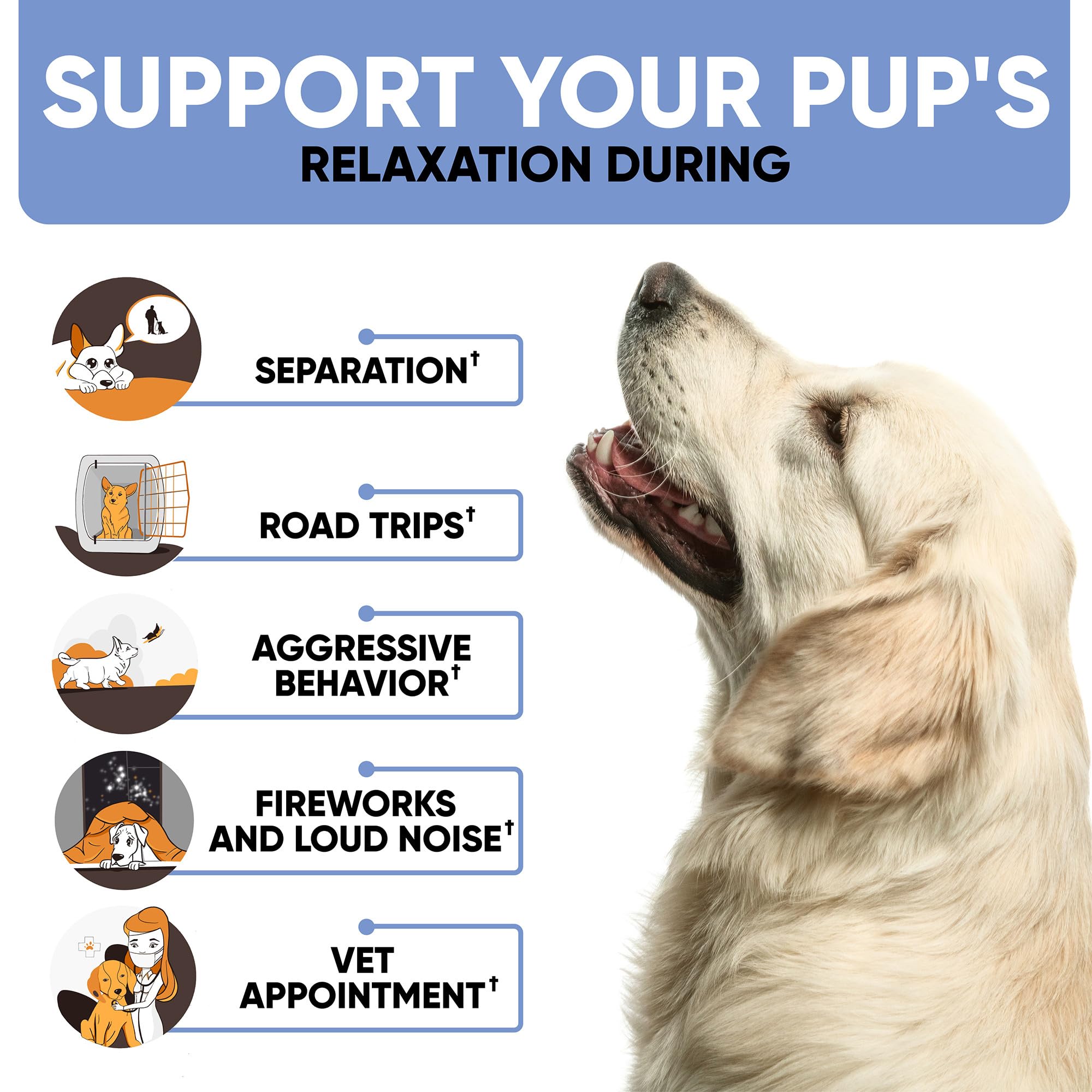Kinpur dog calming chews separation use: aids during departures with non-sedative formula.