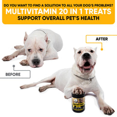 Kinpur Dog Multivitamin chews closeup illustrates tasty texture supporting daily vitality.