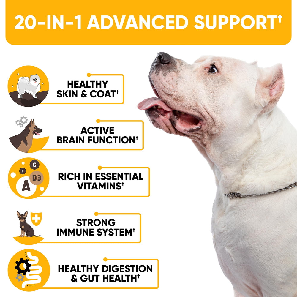 Kinpur Dog Multivitamin chews in hand suggest easy daily dosing for busy owners.