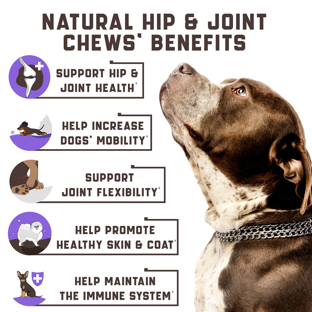 Kinpur hip-joint dog chews product shot highlights natural hemp oil benefits for mobility