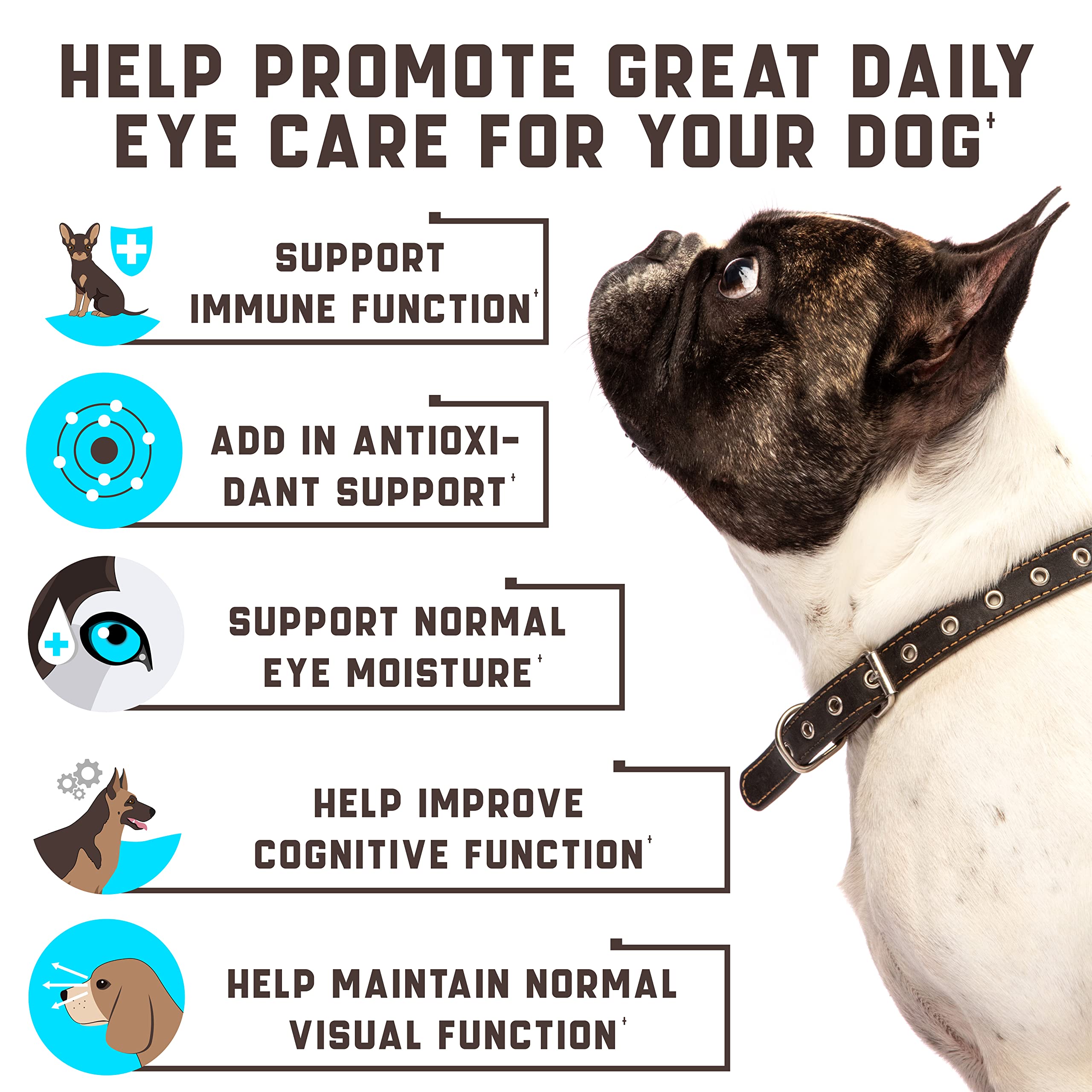 Kinpur Eye Vitamins chews closeup show tasty soft chews for eye health support.