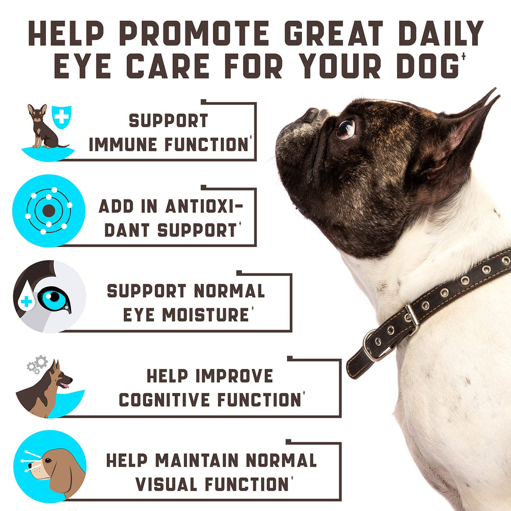Kinpur Eye Vitamins chews closeup show tasty soft chews for eye health support.