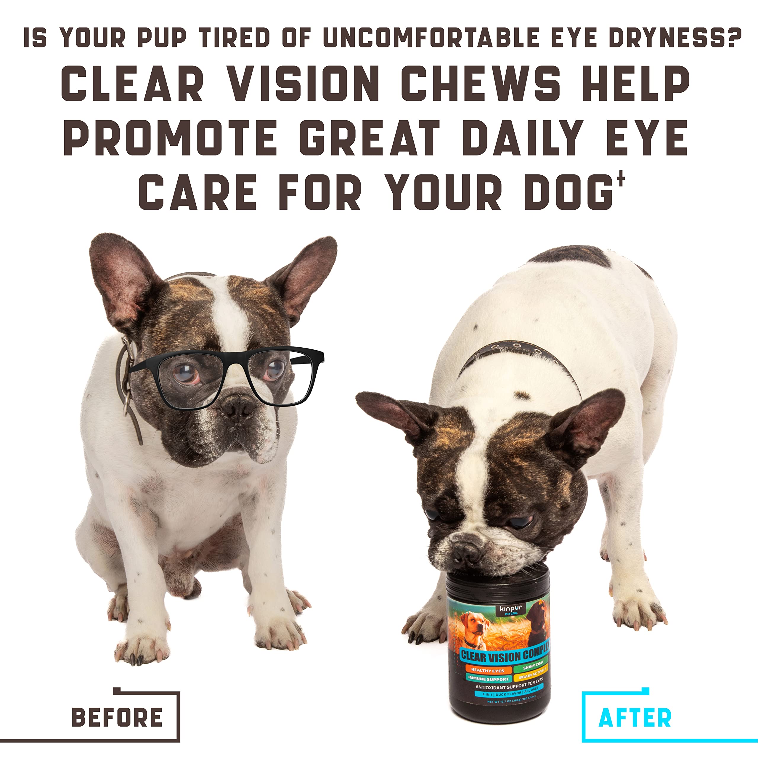 Kinpur Eye Vitamins dog with tear stains shows potential support for visible eye comfort.