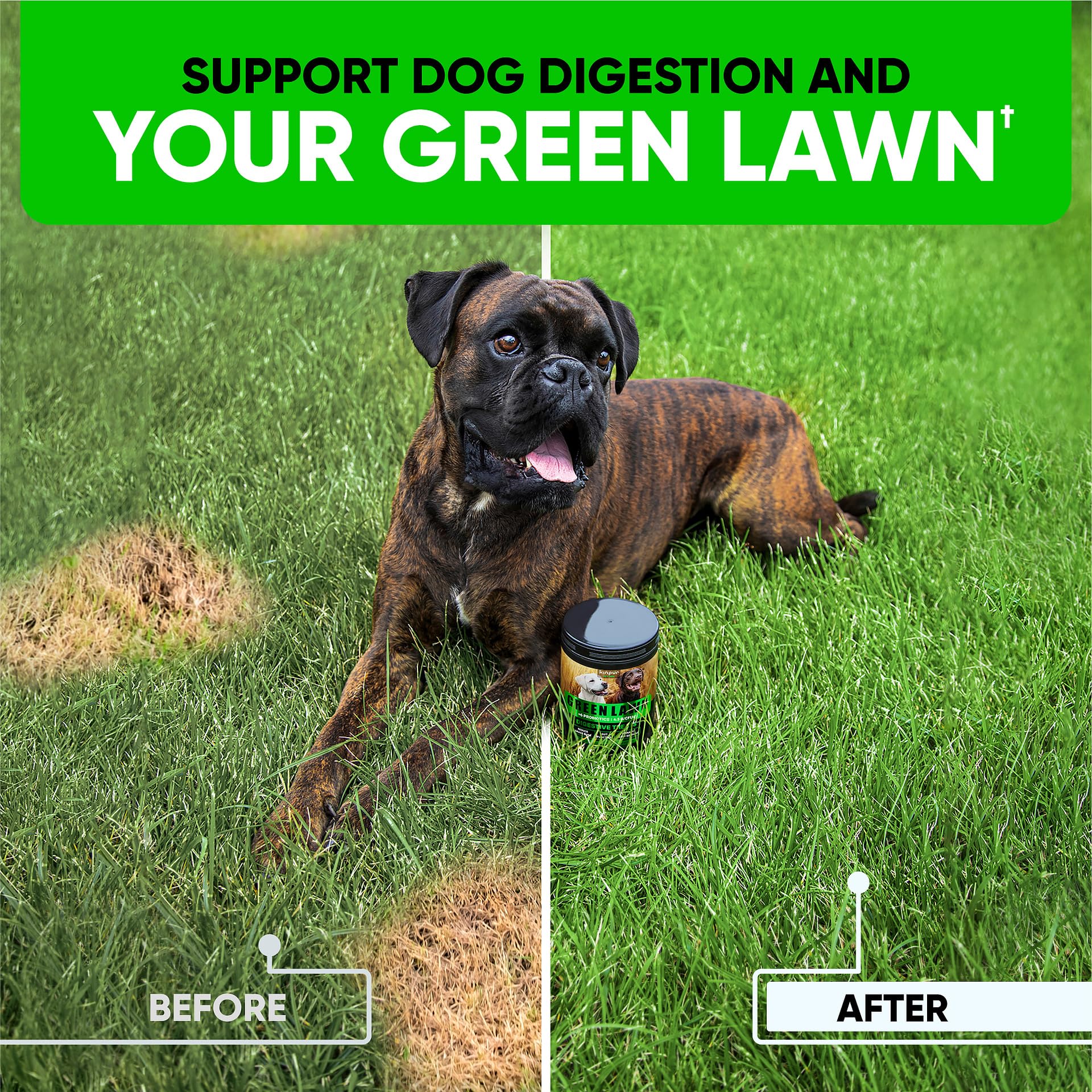 Kinpur Green Lawn Chews closeup of tasty bites supporting urinary health