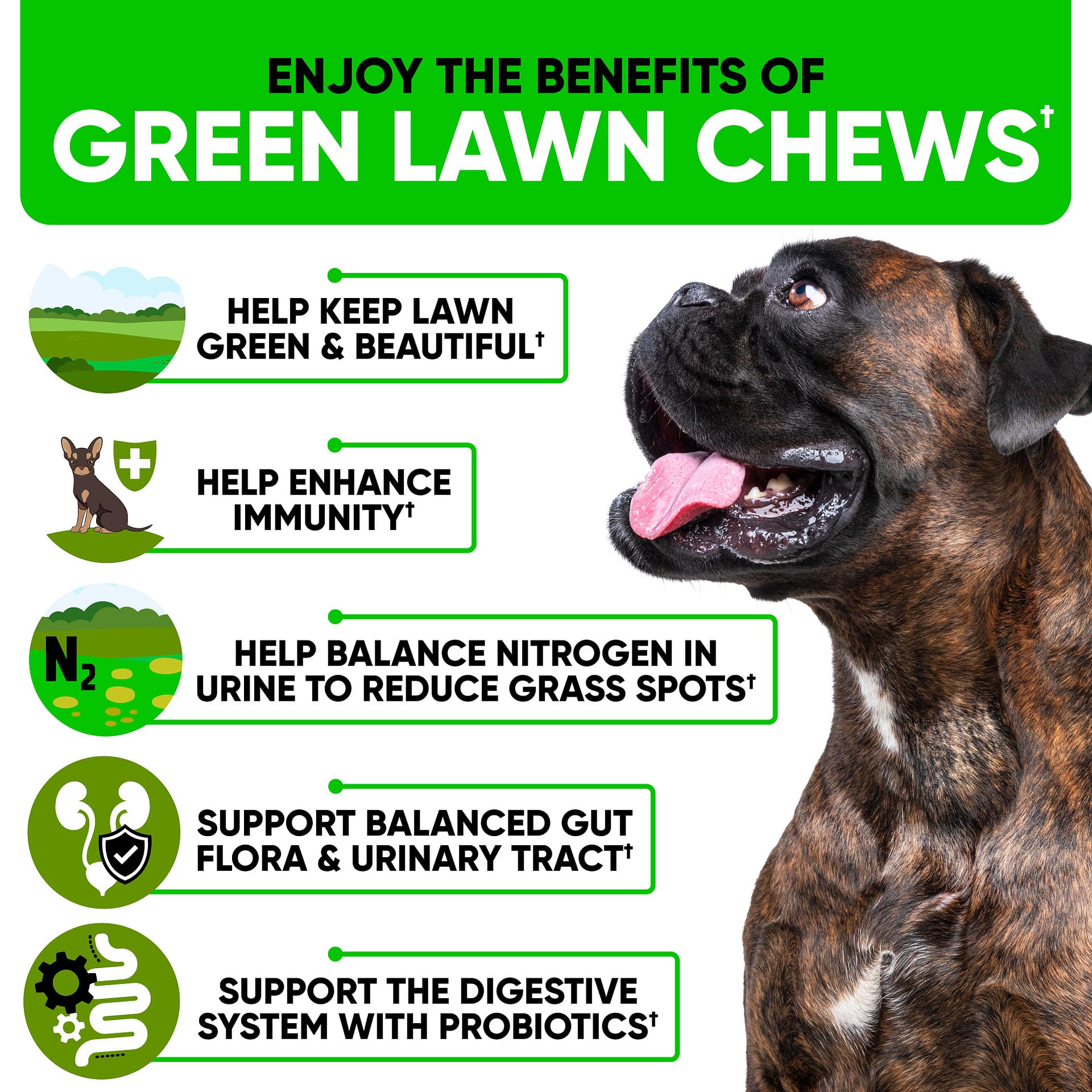 Kinpur Green Lawn Chews ingredients panel highlights cranberry and probiotics