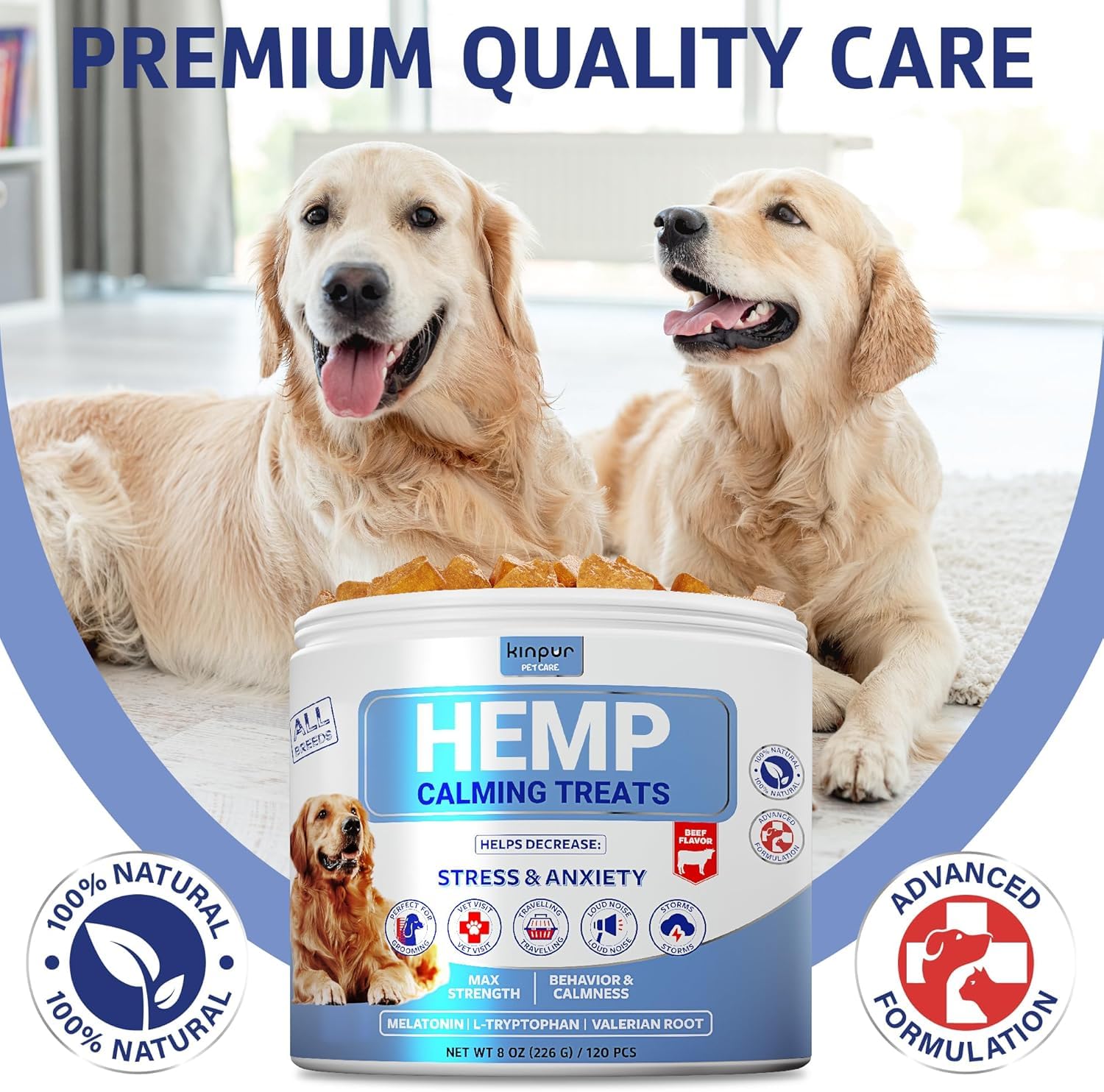 Kinpur hemp and melatonin visuals hint at calm evenings and better rest for dogs