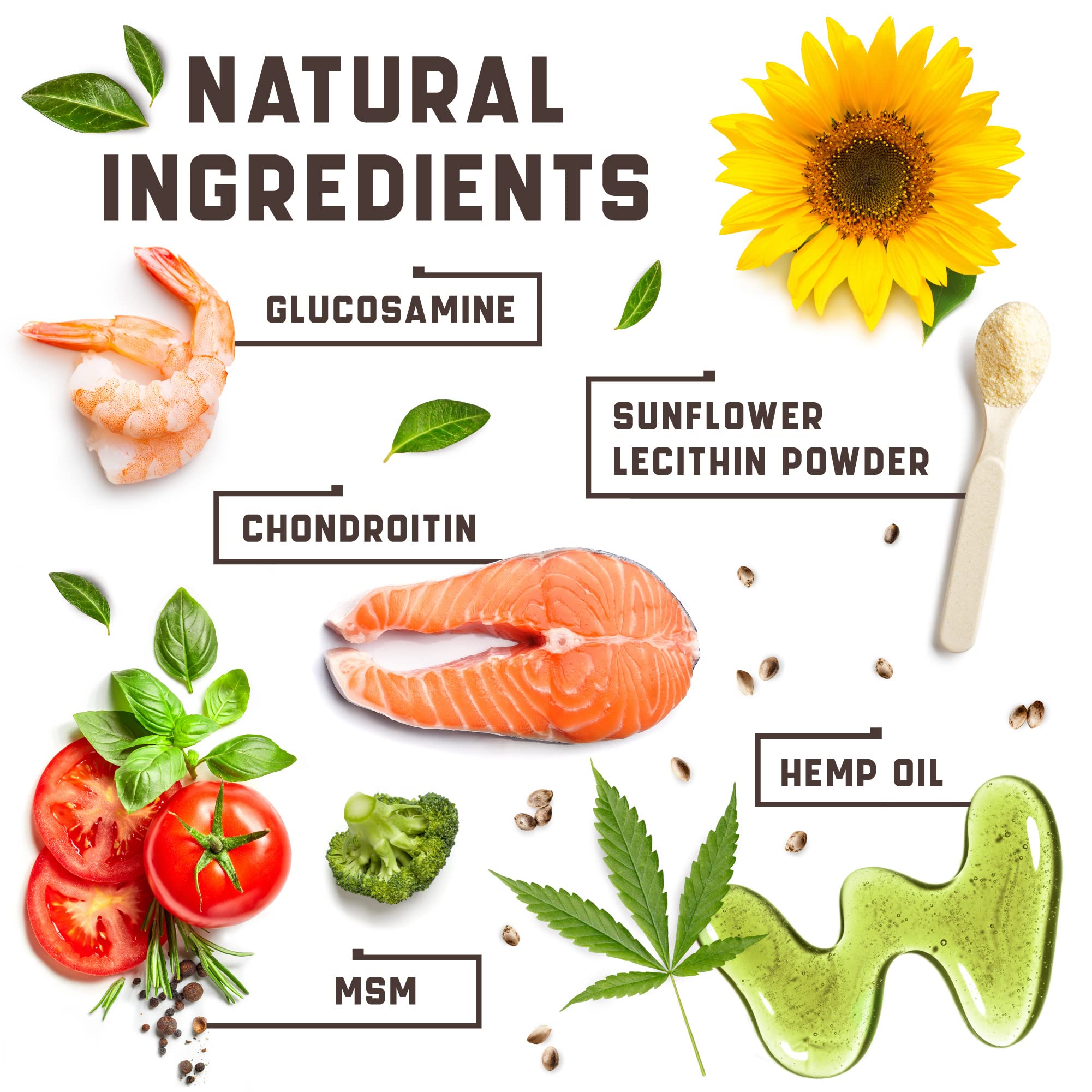 Kinpur glucosamine-chondroitin-msm ingredients image conveys comprehensive joint health support possibilities