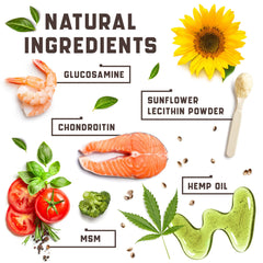 Kinpur glucosamine-chondroitin-msm ingredients image conveys comprehensive joint health support possibilities