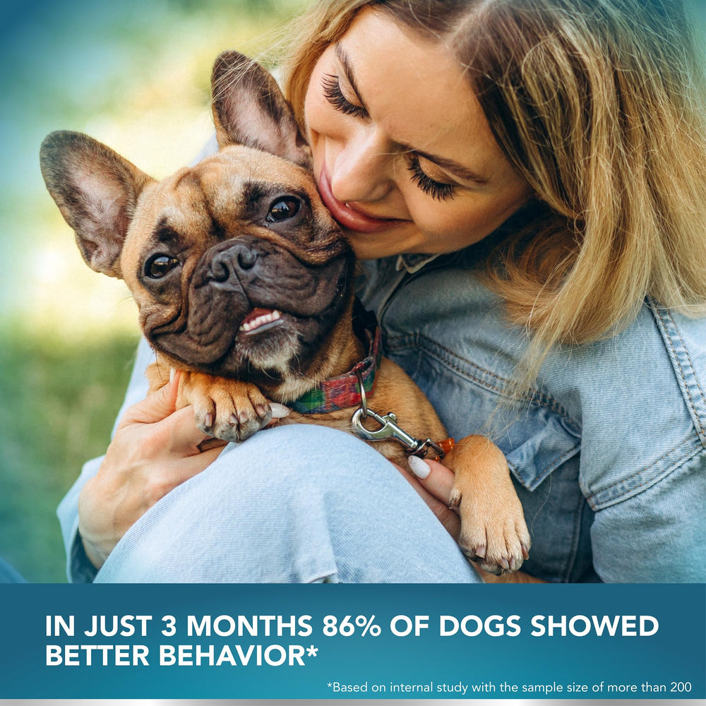 Kinpur No Poo Chews scene focusing on dental-care benefits from parsley and peppermint